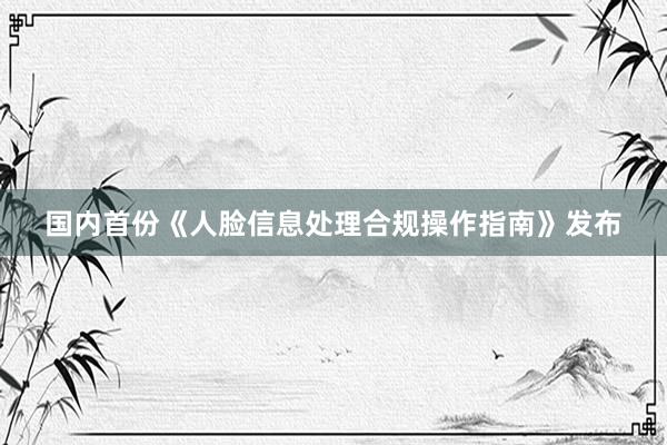 国内首份《人脸信息处理合规操作指南》发布