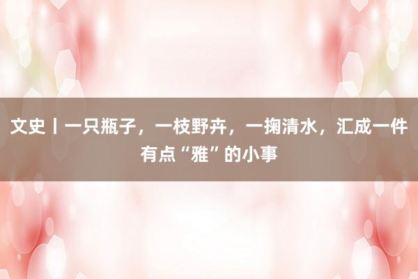文史丨一只瓶子，一枝野卉，一掬清水，汇成一件有点“雅”的小事