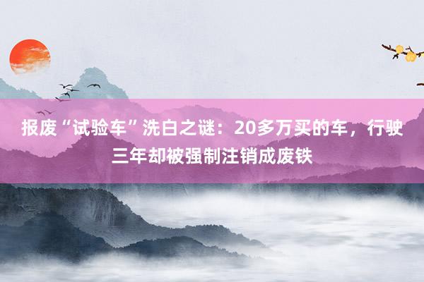 报废“试验车”洗白之谜：20多万买的车，行驶三年却被强制注销成废铁