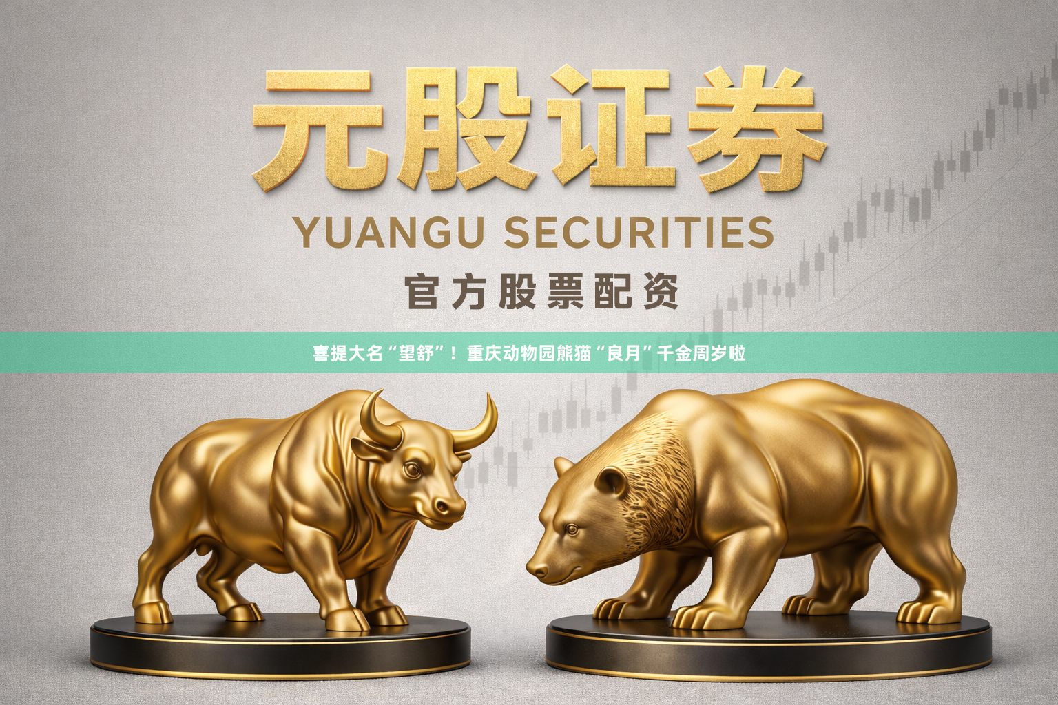 喜提大名“望舒”！重庆动物园熊猫“良月”千金周岁啦