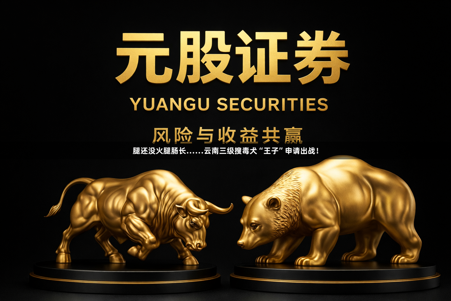 腿还没火腿肠长……云南三级搜毒犬“王子”申请出战！