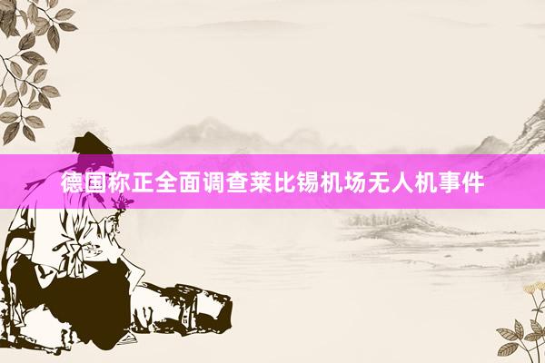 德国称正全面调查莱比锡机场无人机事件