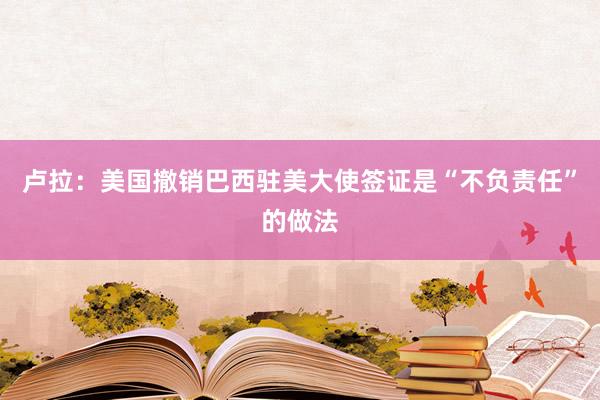 卢拉：美国撤销巴西驻美大使签证是“不负责任”的做法
