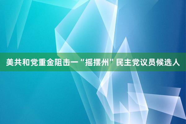 美共和党重金阻击一“摇摆州”民主党议员候选人