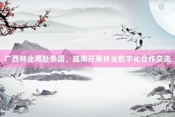 广西林业局赴泰国、越南开展林业数字化合作交流