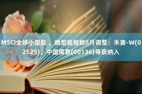 MSCI全球小型股 、微型股指数8月调整：禾赛-W(02525)、中国儒意(00136)等获纳入