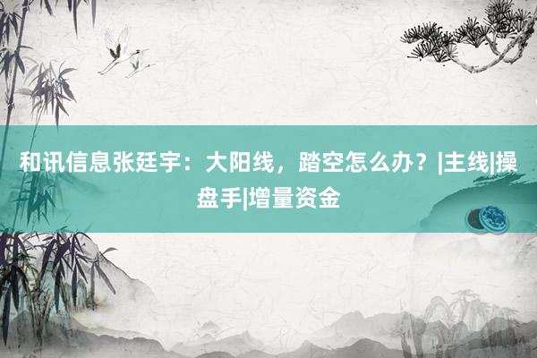和讯信息张廷宇：大阳线，踏空怎么办？|主线|操盘手|增量资金