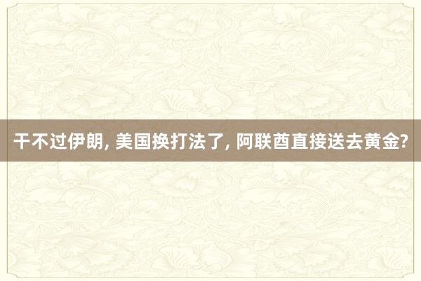 干不过伊朗, 美国换打法了, 阿联酋直接送去黄金?