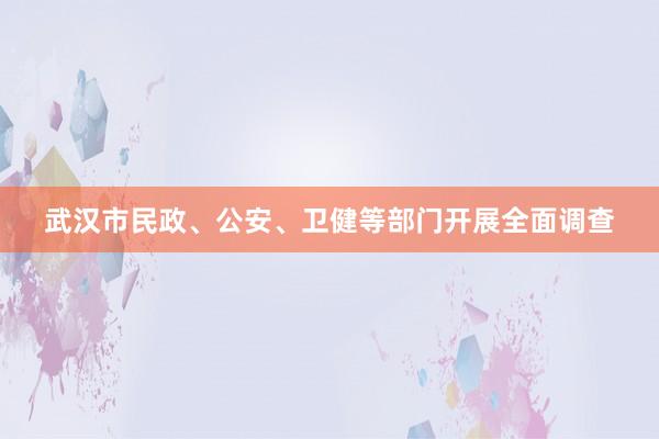 武汉市民政、公安、卫健等部门开展全面调查