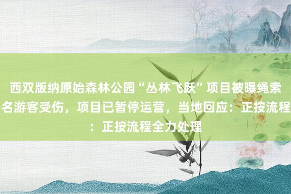 西双版纳原始森林公园“丛林飞跃”项目被曝绳索断裂，多名游客受伤，项目已暂停运营，当地回应：正按流程全力处理