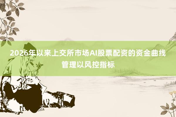 2026年以来上交所市场AI股票配资的资金曲线管理以风控指标