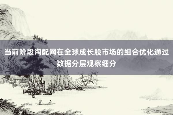 当前阶段淘配网在全球成长股市场的组合优化通过数据分层观察细分