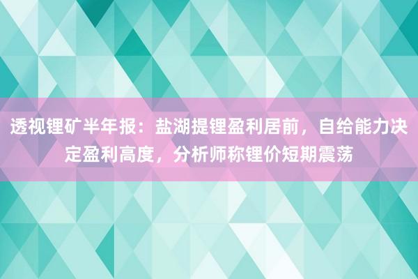 透视锂矿半年报：盐湖提锂盈利居前，自给能力决定盈利高度，分析师称锂价短期震荡