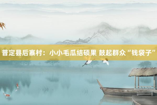 普定县后寨村：小小毛瓜结硕果 鼓起群众“钱袋子”