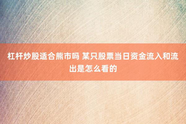 杠杆炒股适合熊市吗 某只股票当日资金流入和流出是怎么看的