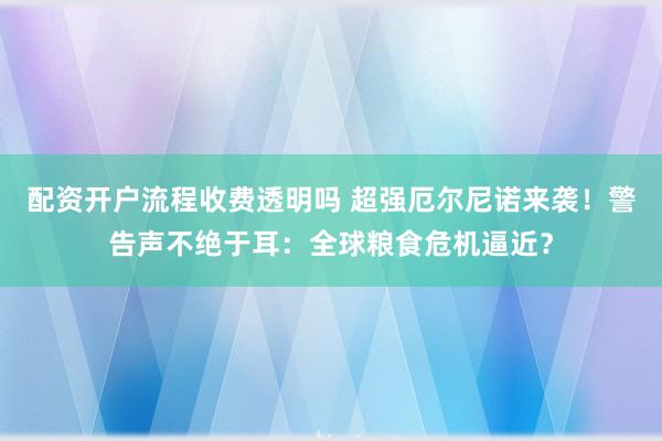 配资开户流程收费透明吗 超强厄尔尼诺来袭！警告声不绝于耳：全球粮食危机逼近？