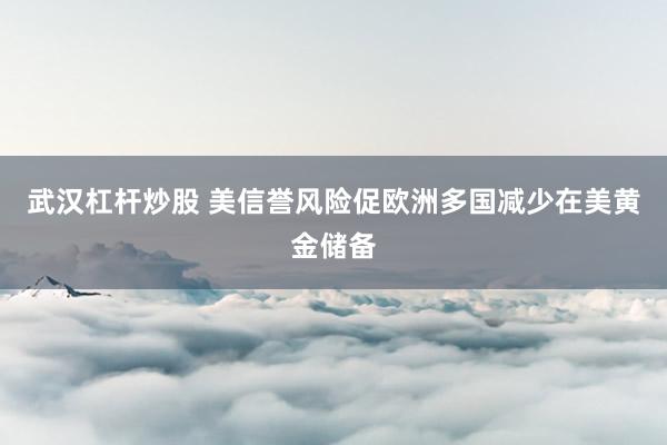 武汉杠杆炒股 美信誉风险促欧洲多国减少在美黄金储备
