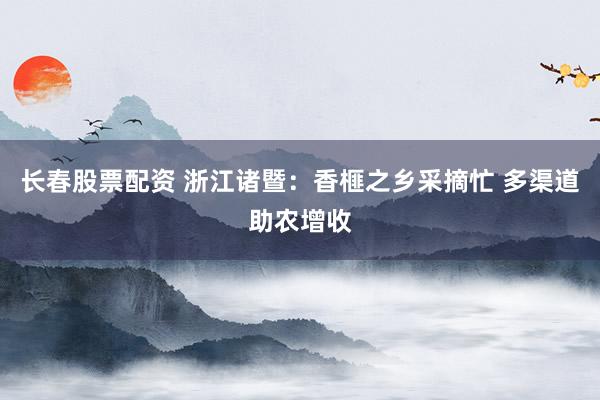 长春股票配资 浙江诸暨：香榧之乡采摘忙 多渠道助农增收