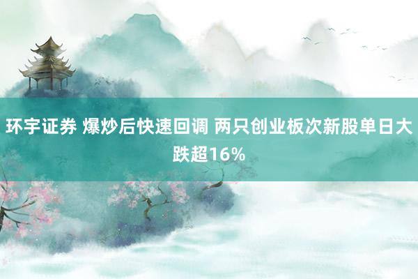 环宇证券 爆炒后快速回调 两只创业板次新股单日大跌超16%