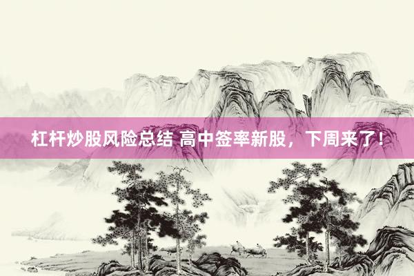 杠杆炒股风险总结 高中签率新股,下周来了!
