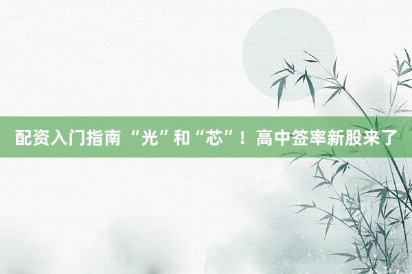 配资入门指南 “光”和“芯”！高中签率新股来了