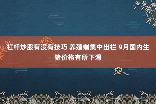 杠杆炒股有没有技巧 养殖端集中出栏 9月国内生猪价格有所下滑