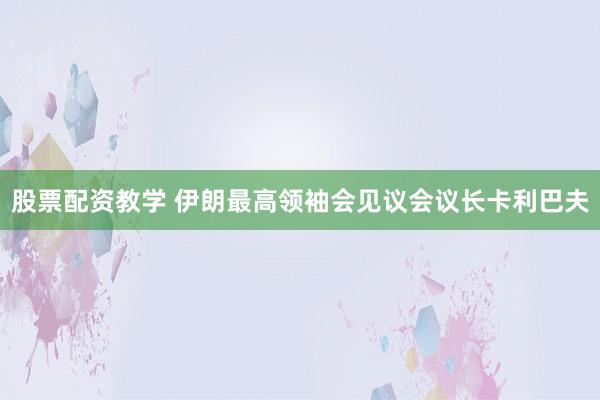 股票配资教学 伊朗最高领袖会见议会议长卡利巴夫