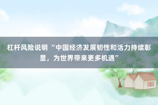 杠杆风险说明 “中国经济发展韧性和活力持续彰显，为世界带来更多机遇”